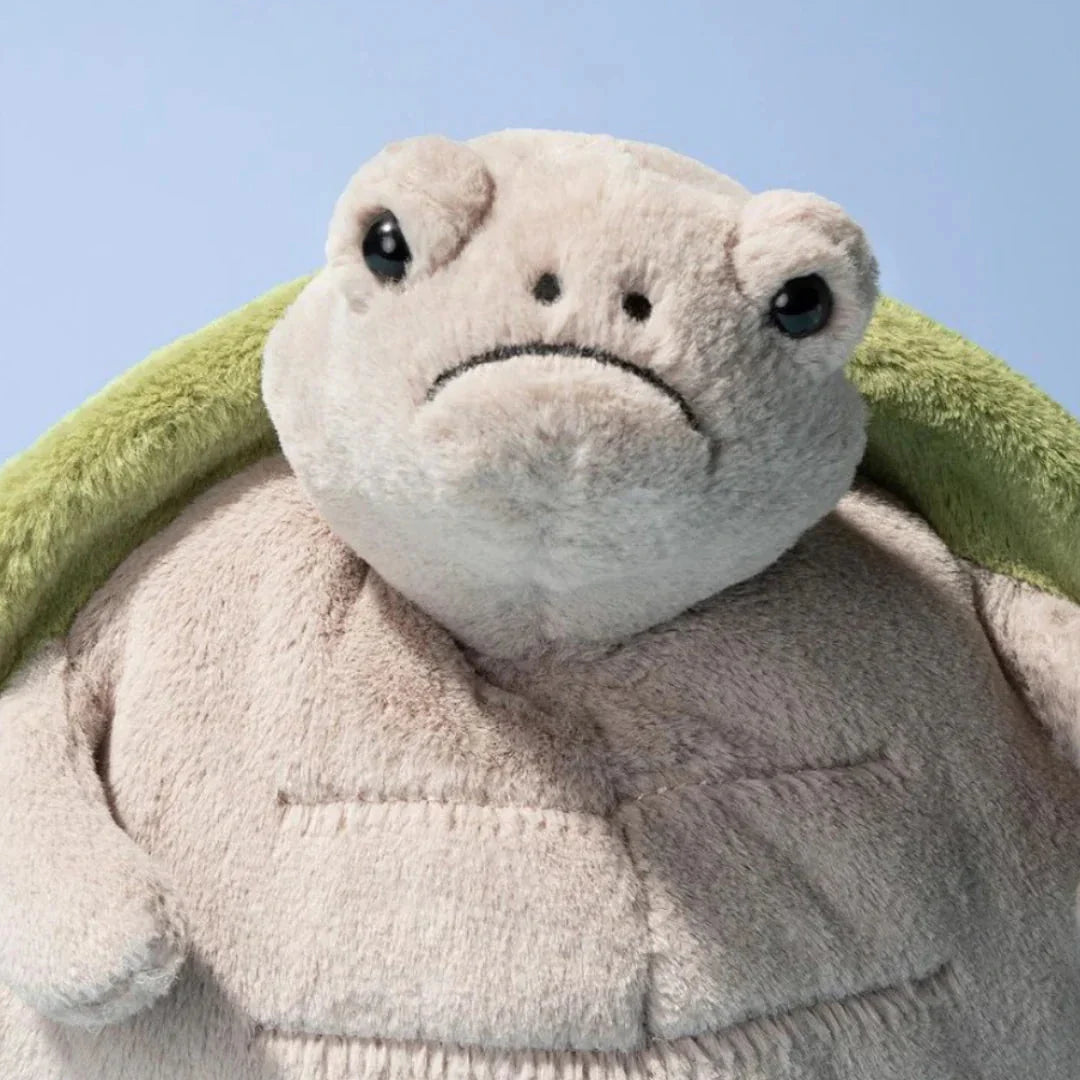 Timmy Turtle | Big