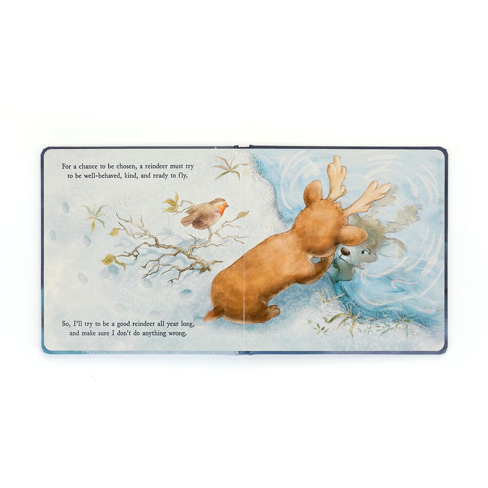 Christmas Book | A Reindeers Dream