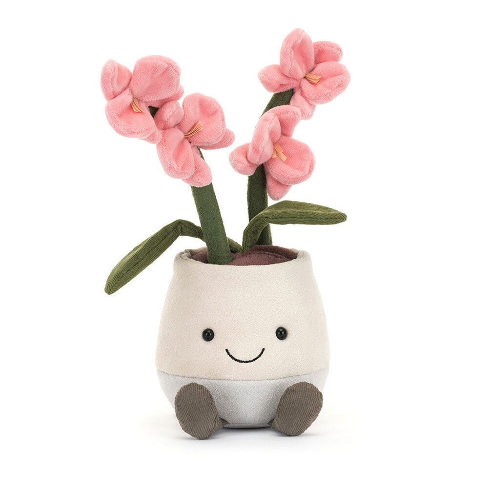 Pink Orchid