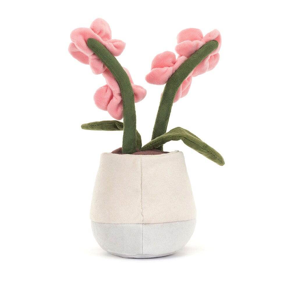 Pink Orchid
