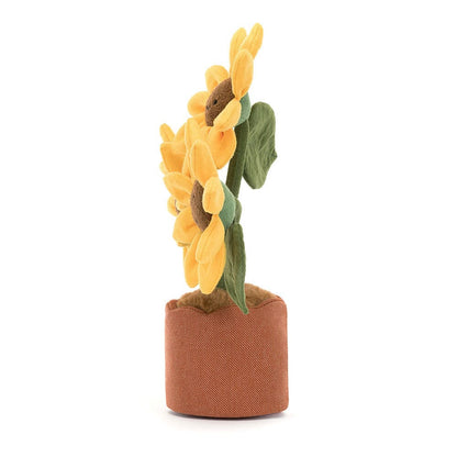 Potted Sunflower