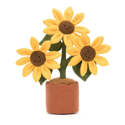 Potted Sunflower