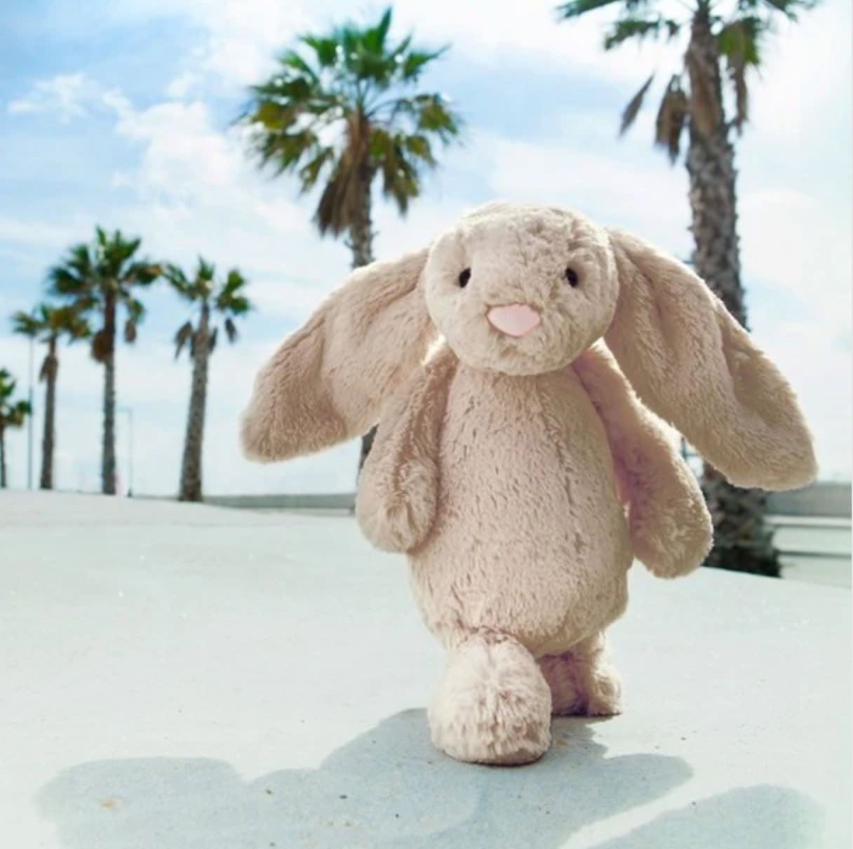 Original (Medium) | Beige Bunny
