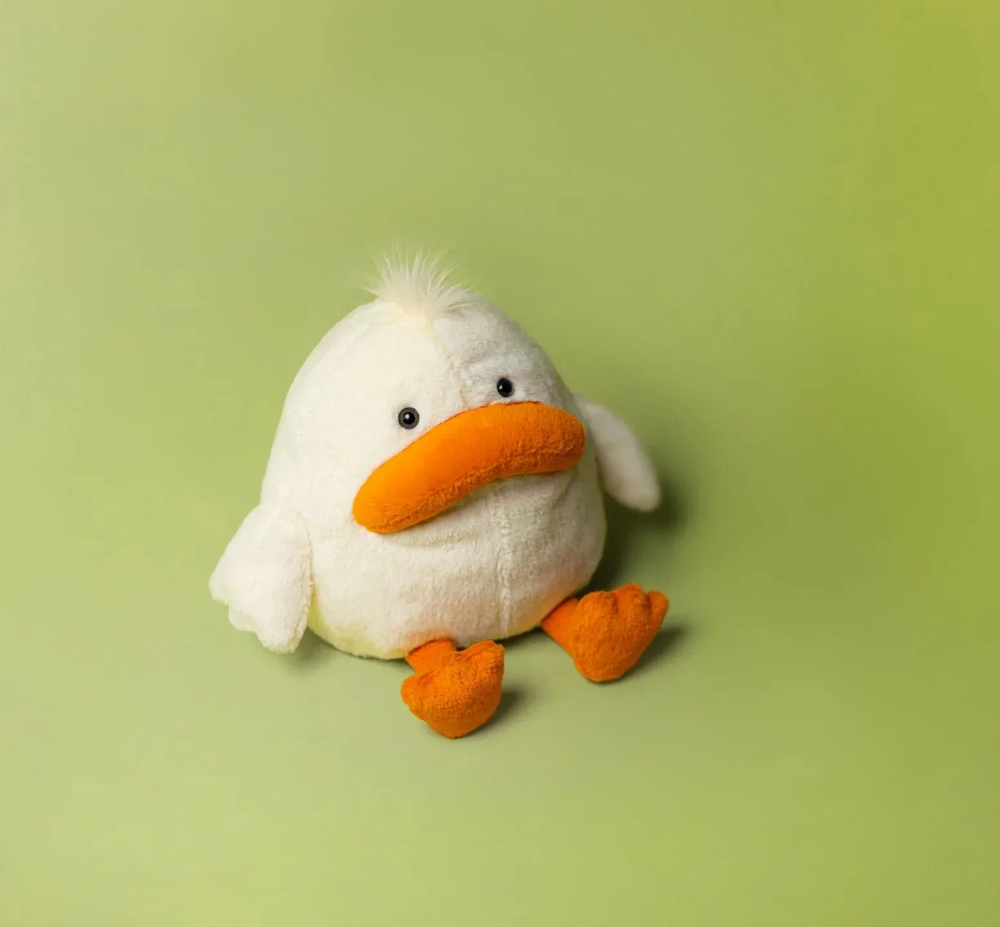 Delia Duck