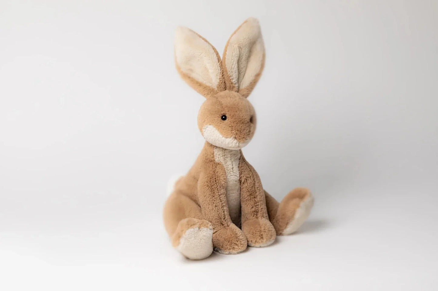 Horticus Hare