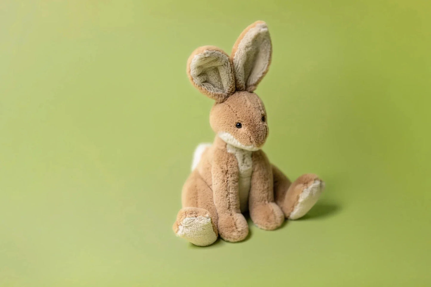 Horticus Hare