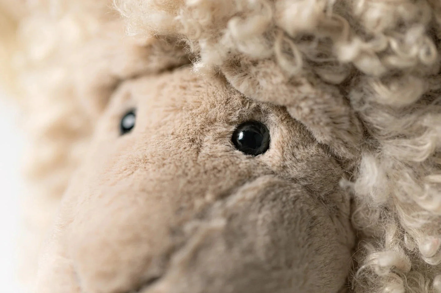 Ramsley Sheep