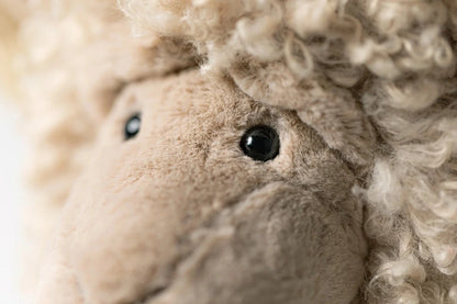 Ramsley Sheep