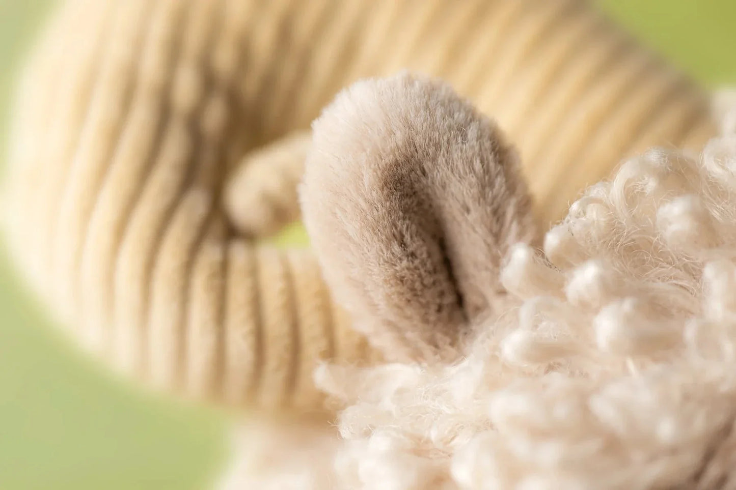 Ramsley Sheep