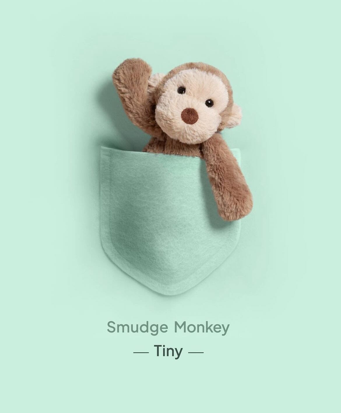 Smudge | Monkey Tiny
