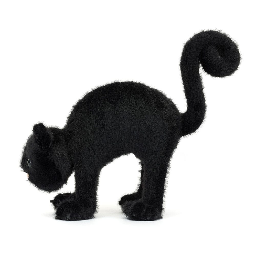 Halloween | Spookipaws Cat