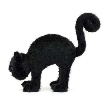 Halloween | Spookipaws Cat