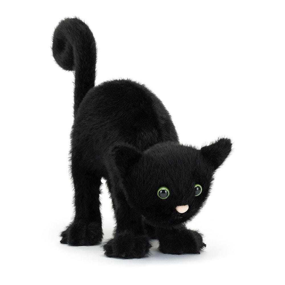 Halloween | Spookipaws Cat