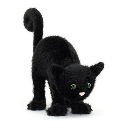 Halloween | Spookipaws Cat
