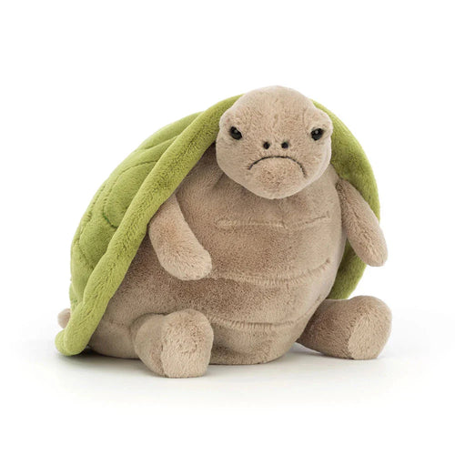 Timmy Turtle | Big
