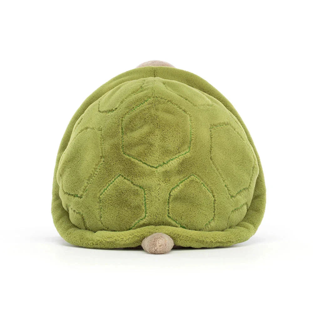 Timmy Turtle | Big