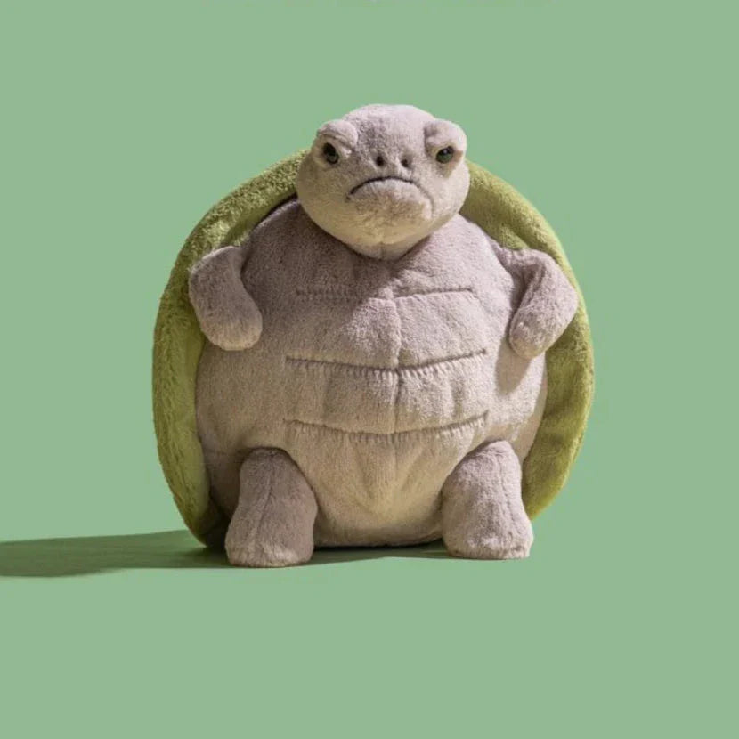 Timmy Turtle | Big