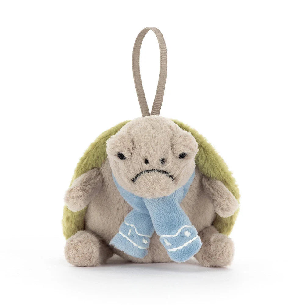 Decoration | Timmy Turtle