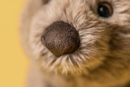 Wonda Wombat