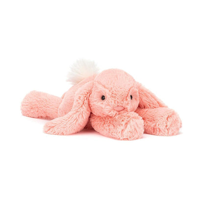 Smudge Apricot Rabbit & Smudge Rabbit and the Falling Star Book